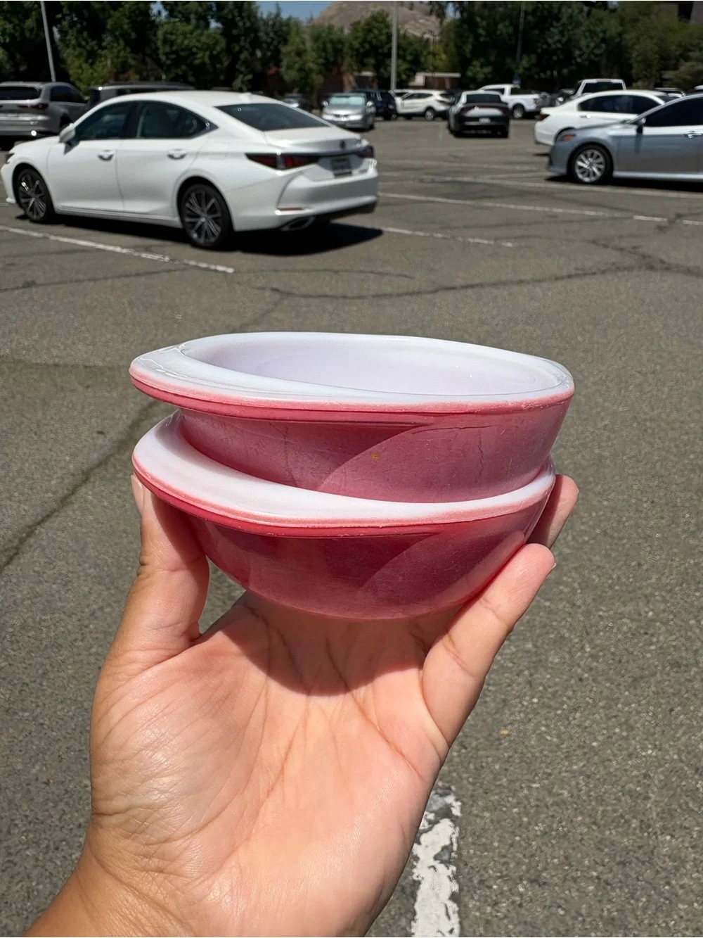 vintage Pyrex Flamingo Pink 8 oz individual casserole dishes set of 2 no lids
